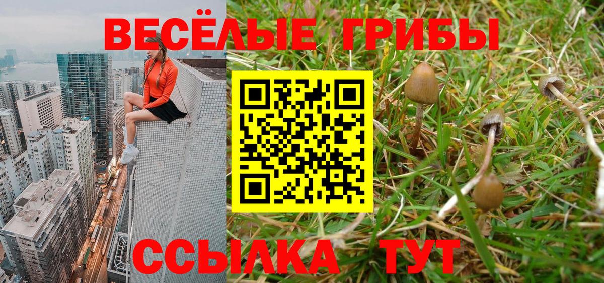 Галлюциногенные грибы Psilocybine cubensis  Вход с VPN  Псилоцибиновые грибы Cubensis  Алапаевск 